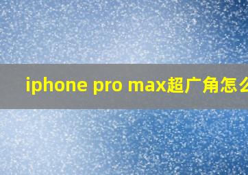 iphone pro max超广角怎么用